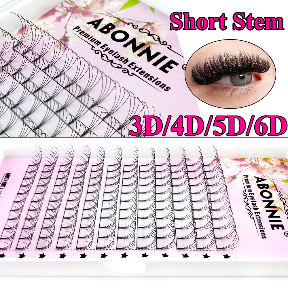 Abonnie 6D Узкие пучки-вентиля – обзор и цена Lash Fan Volume